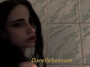 Darellebossom