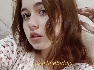 Darlinebiddix