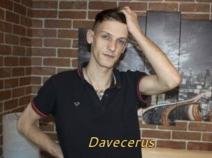 Davecerus