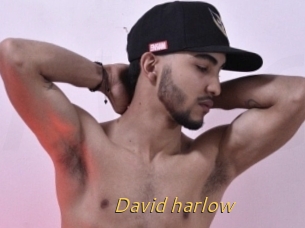David_harlow