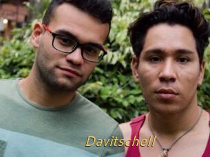 Davitschell