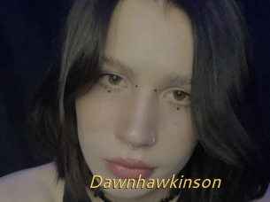 Dawnhawkinson