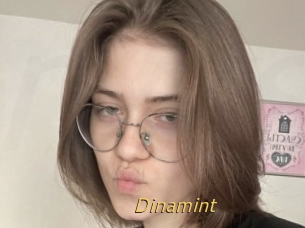 Dinamint