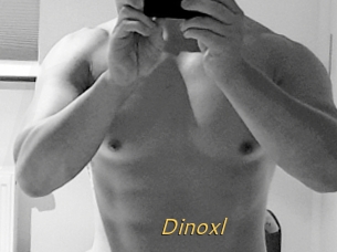 Dinoxl