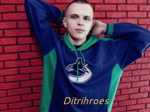 Ditrihroes