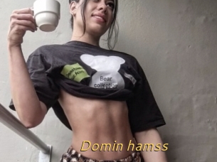 Domin_hamss