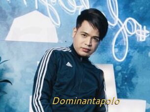 Dominantapolo