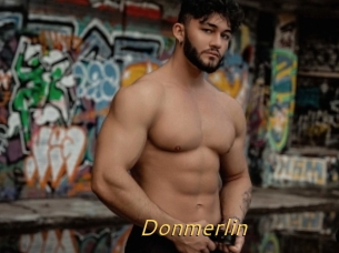 Donmerlin