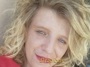 Dragibus