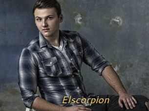 Elscorpion