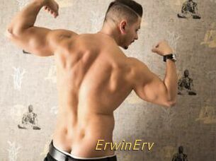 ErwinErv