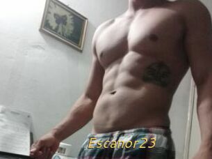 Escanor23