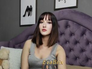 EvaBrix