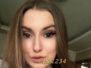Evka1234