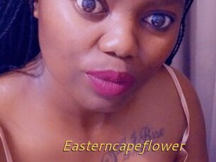 Easterncapeflower