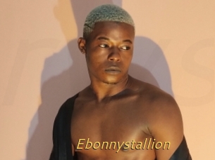 Ebonnystallion