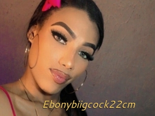 Ebonybiigcock22cm