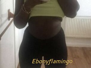 Ebony_flamingo