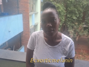 Ecxorticmelanin