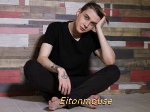 Eitonmouse