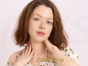 Elenecaris