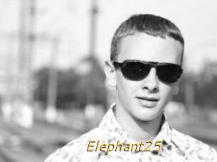 Elephant25