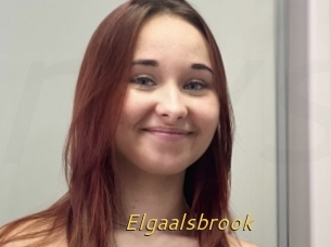 Elgaalsbrook