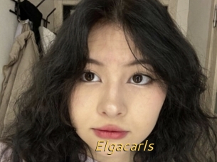 Elgacarls