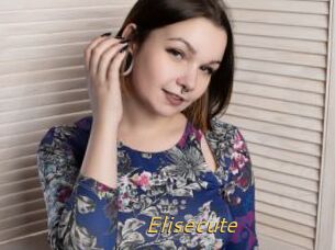 Elisecute
