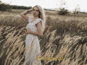 Elizamool