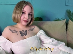 Ellydestiny