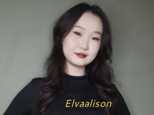 Elvaalison