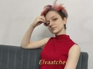 Elvaatcher