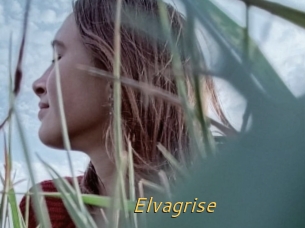 Elvagrise