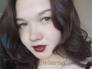 Elviaarnet