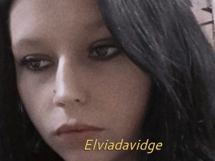 Elviadavidge