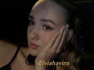 Elviahavins