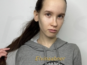 Elvinaabner