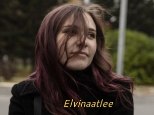 Elvinaatlee