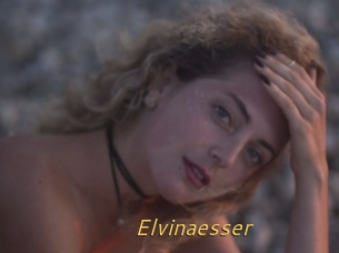 Elvinaesser