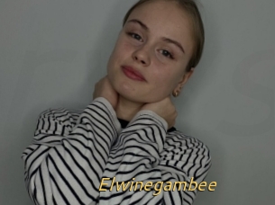 Elwinegambee