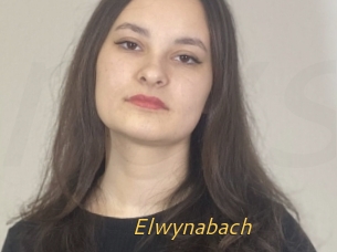 Elwynabach