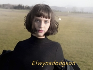 Elwynadodgson
