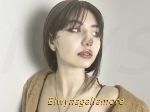 Elwynagallamore
