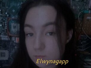 Elwynagapp