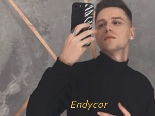 Endycor