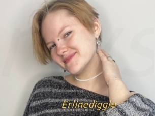 Erlinediggle