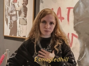 Esmagledhill