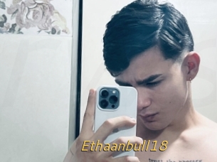 Ethaanbull18