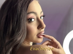 Evacheriee
